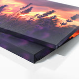 Lavender Twilight Silhouette 16