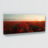 Poppies Dreamy Poppy Vistas 12