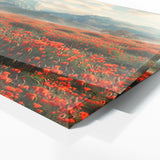 Poppies Poppy Dreamscape 11