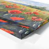 Poppies Poppy Serenity 3