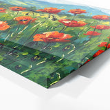 Poppies Vivid Poppy Fields 9