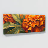 Marigold Elegance 7