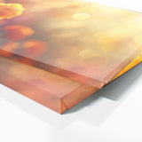 Marigold Radiance 14