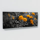 Marigold Whispering 15
