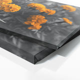 Marigold Whispering 15