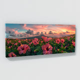 Hibiscu Horizon 24