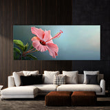 Hibiscu Modern Essence 26