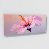 Hibiscu Modern Essence 28