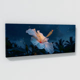 Hibiscu Moonlit 21