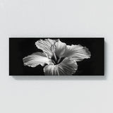 Hibiscu Noir Bloom 18