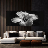 Hibiscu Noir Bloom 18