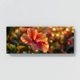 Hibiscu Radiant Glow 22