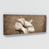 Hibiscu Sepia Elegance 17
