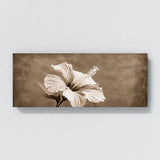 Hibiscu Sepia Elegance 17