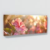 Hibiscu Sunlight Dream 19