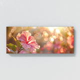 Hibiscu Sunlight Dream 19