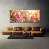 Hibiscu Sunlight Dream 19