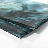Gardenia Dreamlike 17