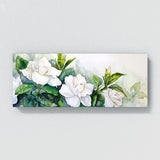 Gardenia Dreamy 5