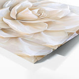 Gardenia Modern Blooms 22
