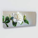 Gardenia Modern Elegance 20