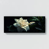Gardenia Night Whispers 18
