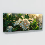 Gardenia Twilight Bloom 12