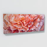 Carnation Colorful Essence 36