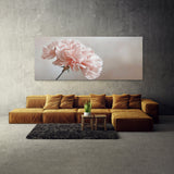 Carnation Delicate Dream 39