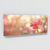 Carnation Dreamy Blur 30