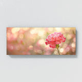 Carnation Dreamy Blur 30