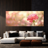Carnation Dreamy Blur 30