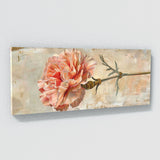 Carnation Elegance 4