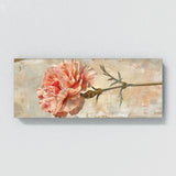 Carnation Elegance 4