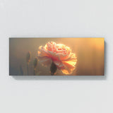 Carnation Fragile Radiance 33