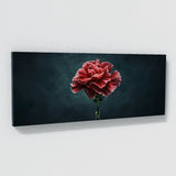 Carnation Nightfall 31