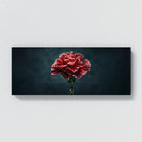 Carnation Nightfall 31