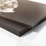 Carnation Reverie 29
