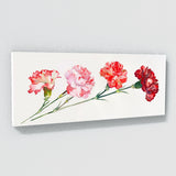 Carnation Whisper 19