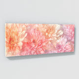 Chrysanthemum Dreamy 15