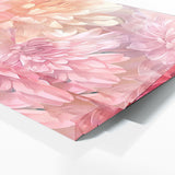 Chrysanthemum Dreamy 15