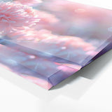 Chrysanthemum Dreamy Glow 29