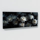 Chrysanthemum Ethereal Glow 26