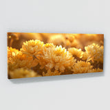 Chrysanthemum Golden Harmony 20