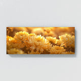 Chrysanthemum Golden Harmony 20