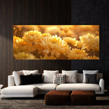 Chrysanthemum Golden Harmony 20