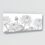 Chrysanthemum Lines Elegance 31