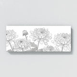 Chrysanthemum Lines Elegance 31