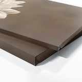 Chrysanthemum Sepia Elegance 28