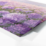Chrysanthemum Serenity 8